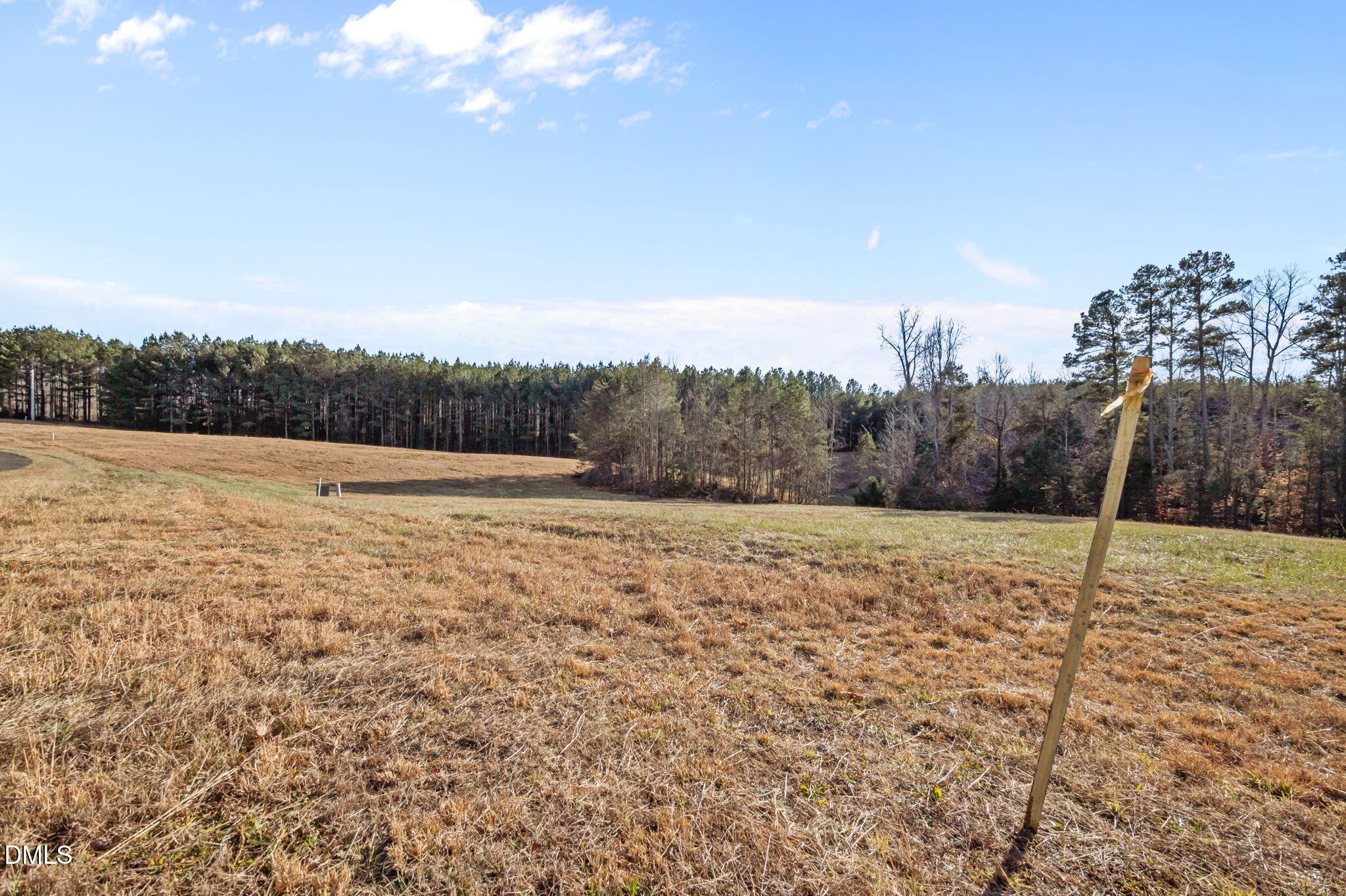Lot 10 Fishers Court Roxboro, NC 27574 - Photo 10 of 13 9-web-or-mls-P1100614