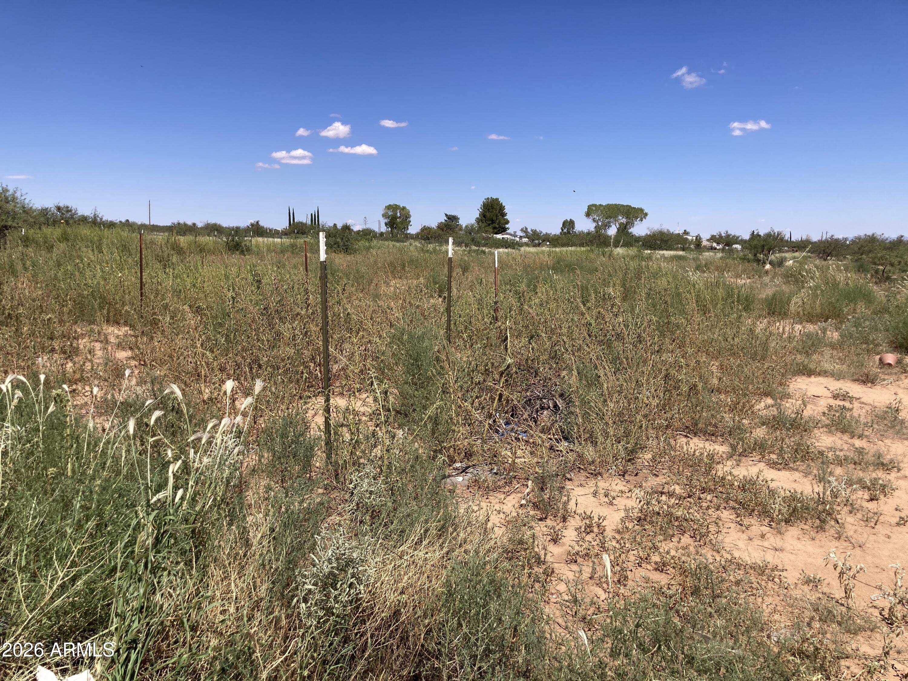 8867 East Bloomfield Road Hereford, AZ 85615 - Photo 8 of 8 Weeds - 5 acres