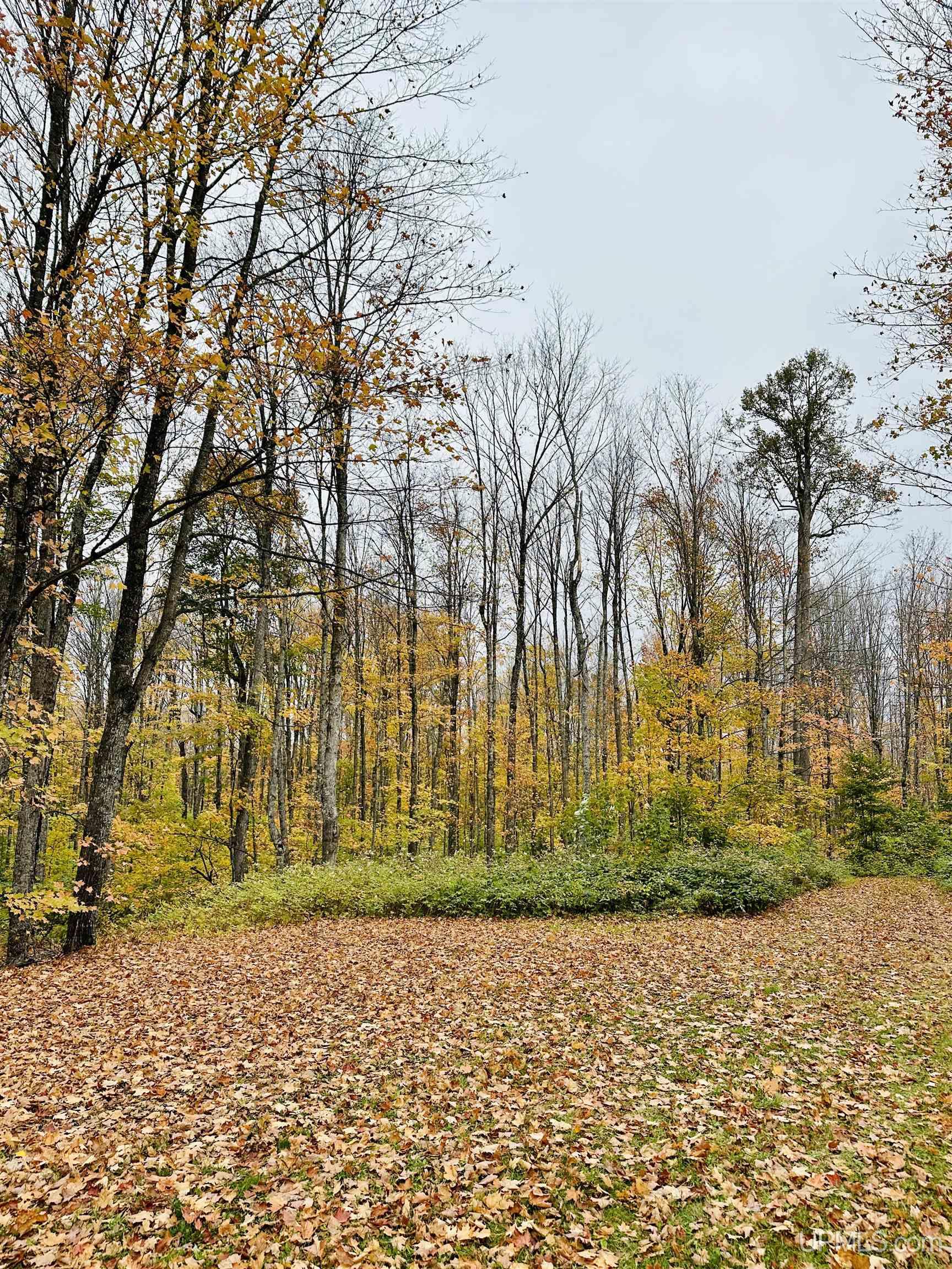 17099 Silver Road Michigamme, MI 49861 - Photo 14 of 14 Gallery Image 14