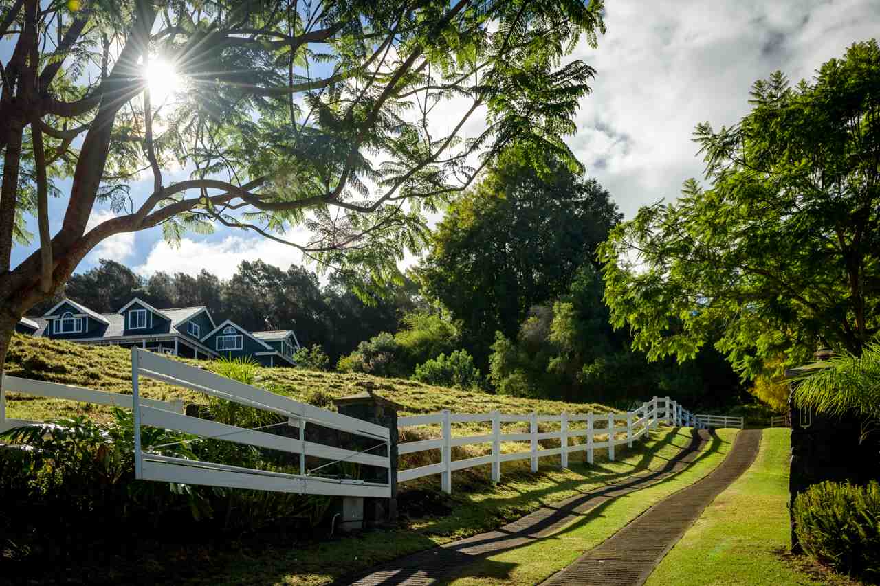 1511 Polipoli Road, Unit A & B Kula, HI 96790 - Photo 2 of 30 a view of a house with a yard