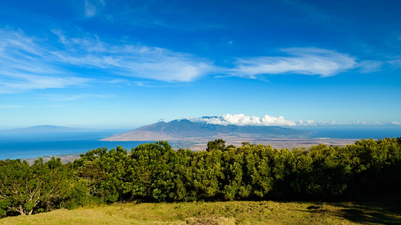 1511 Polipoli Road, Unit A & B Kula, HI 96790 - Photo 22 of 30 a view of a big yard