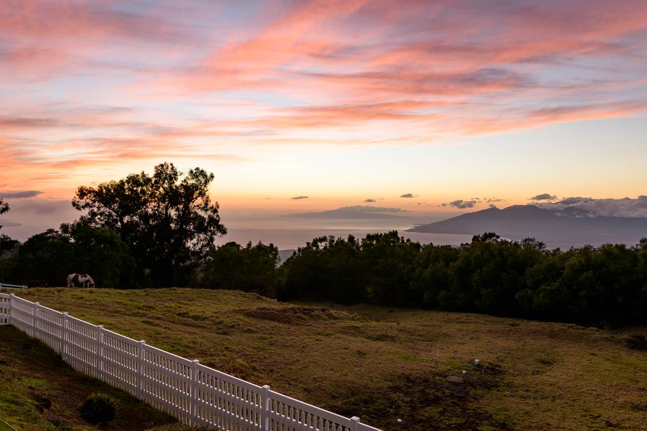 1511 Polipoli Road, Unit A & B Kula, HI 96790 - Photo 29 of 30 a view of a yard with an ocean view