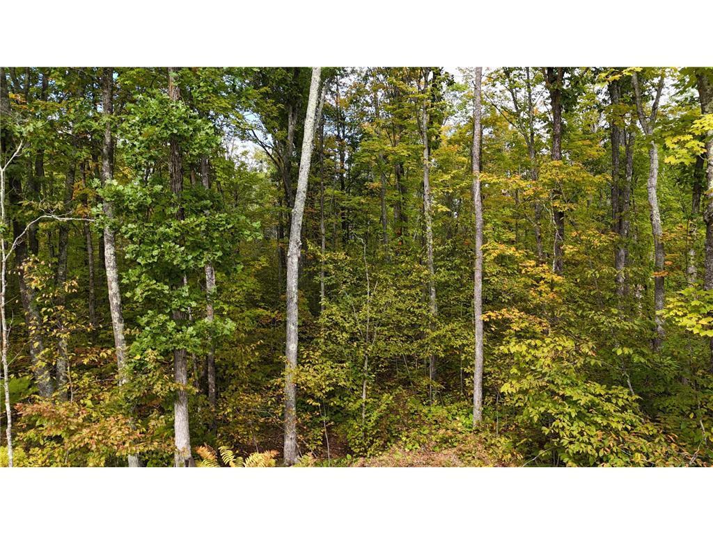 57919 Hay Creek Road Sandstone, MN 55072 - Photo 42 of 48