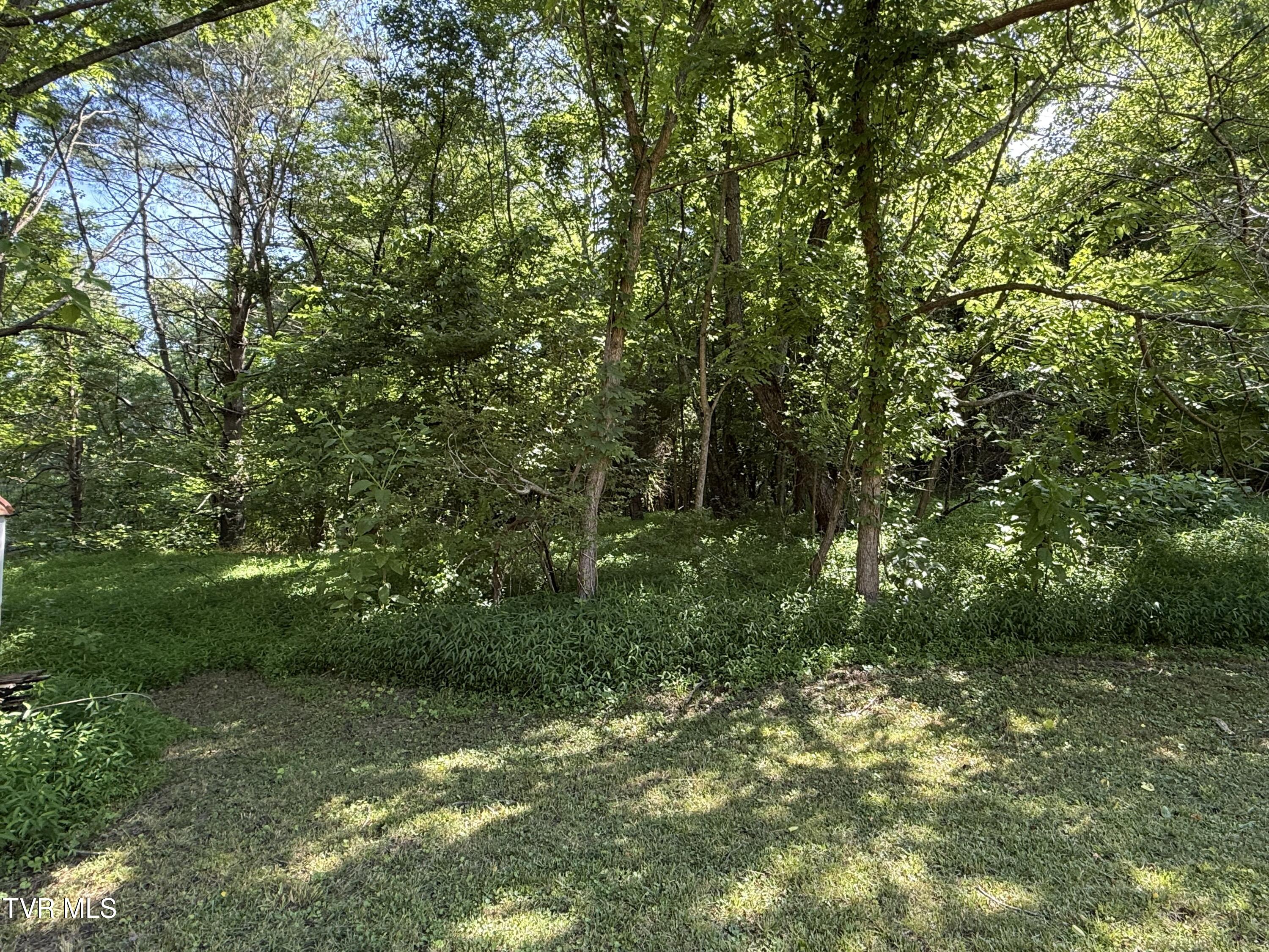 401 Spring Street Jonesborough, TN 37659 - Photo 27 of 31 IMG_0188