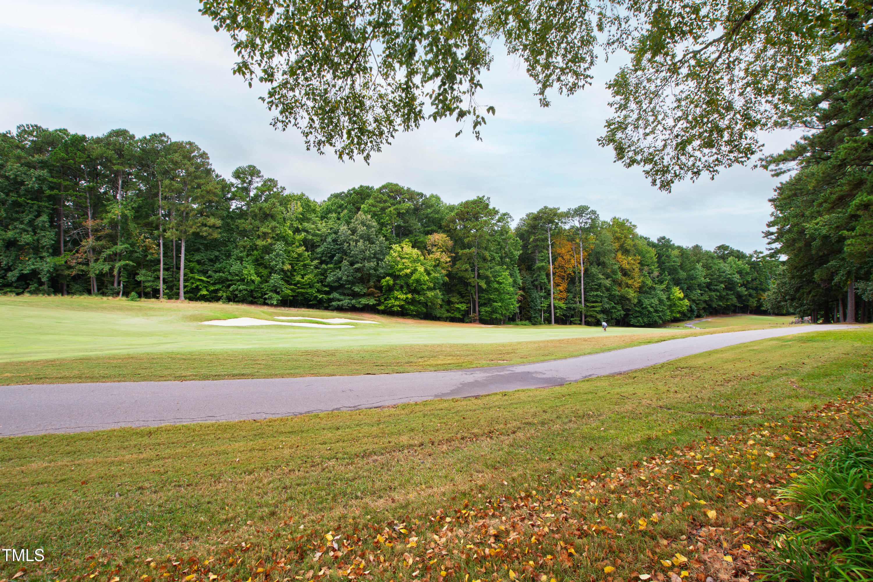 2972 Tillinghast Trail Raleigh, NC 27613 - Photo 52 of 63 Tillinghast (58)