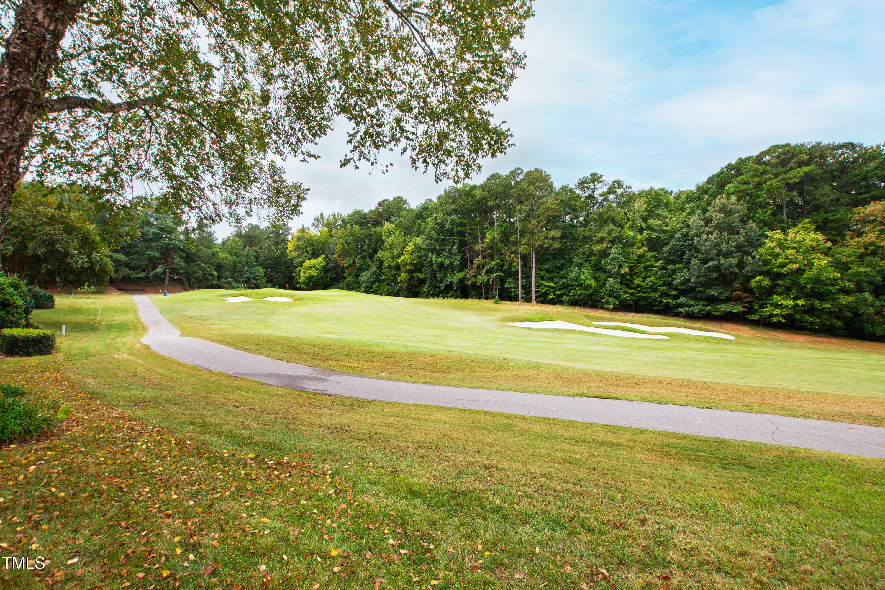2972 Tillinghast Trail Raleigh, NC 27613 - Photo 53 of 63 Tillinghast (62)