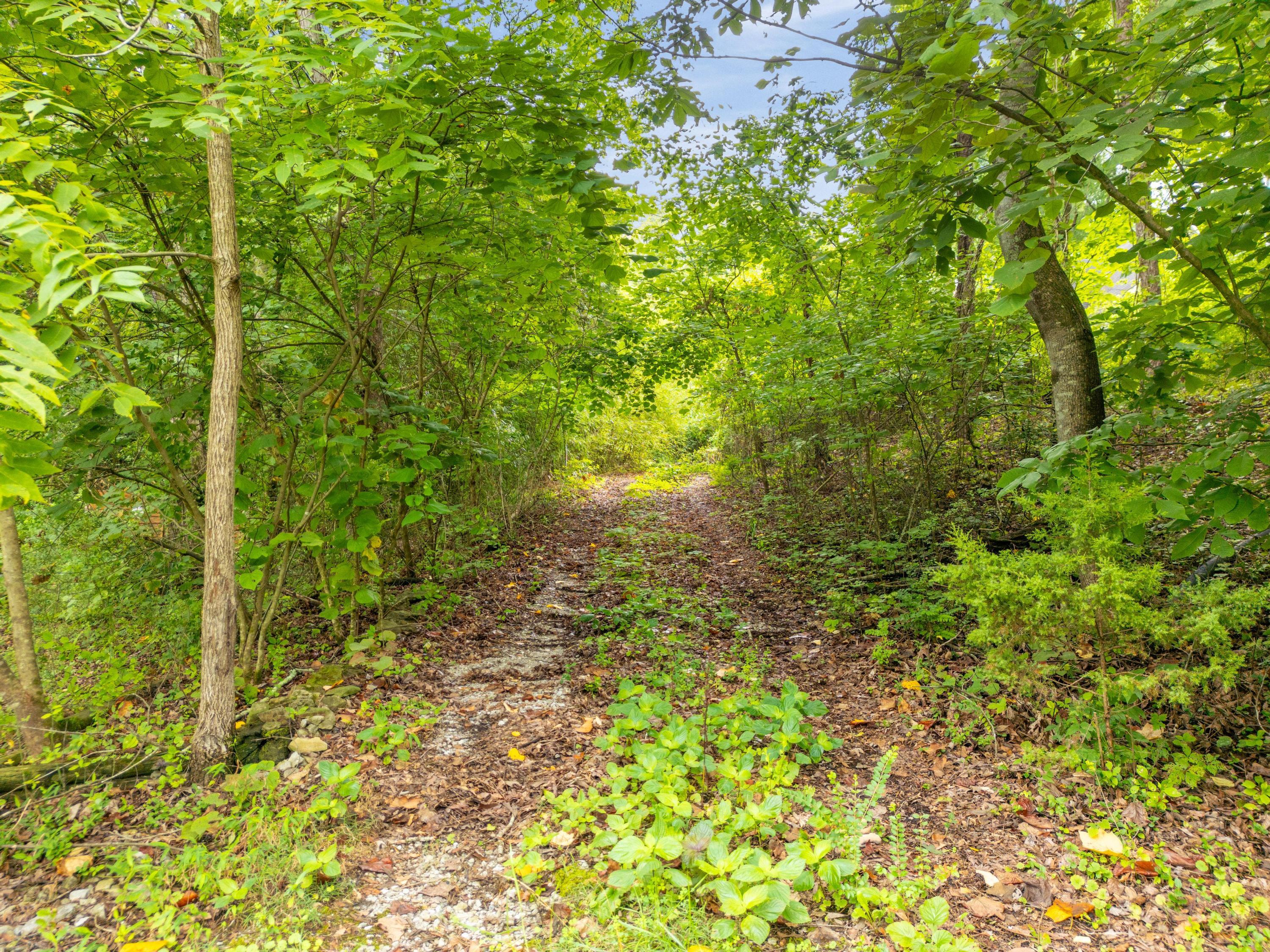 8438 Middle Valley Road Hixson, TN 37343 - Photo 12 of 22 8438 Middle Valley Rd, Hixson, TN 37343