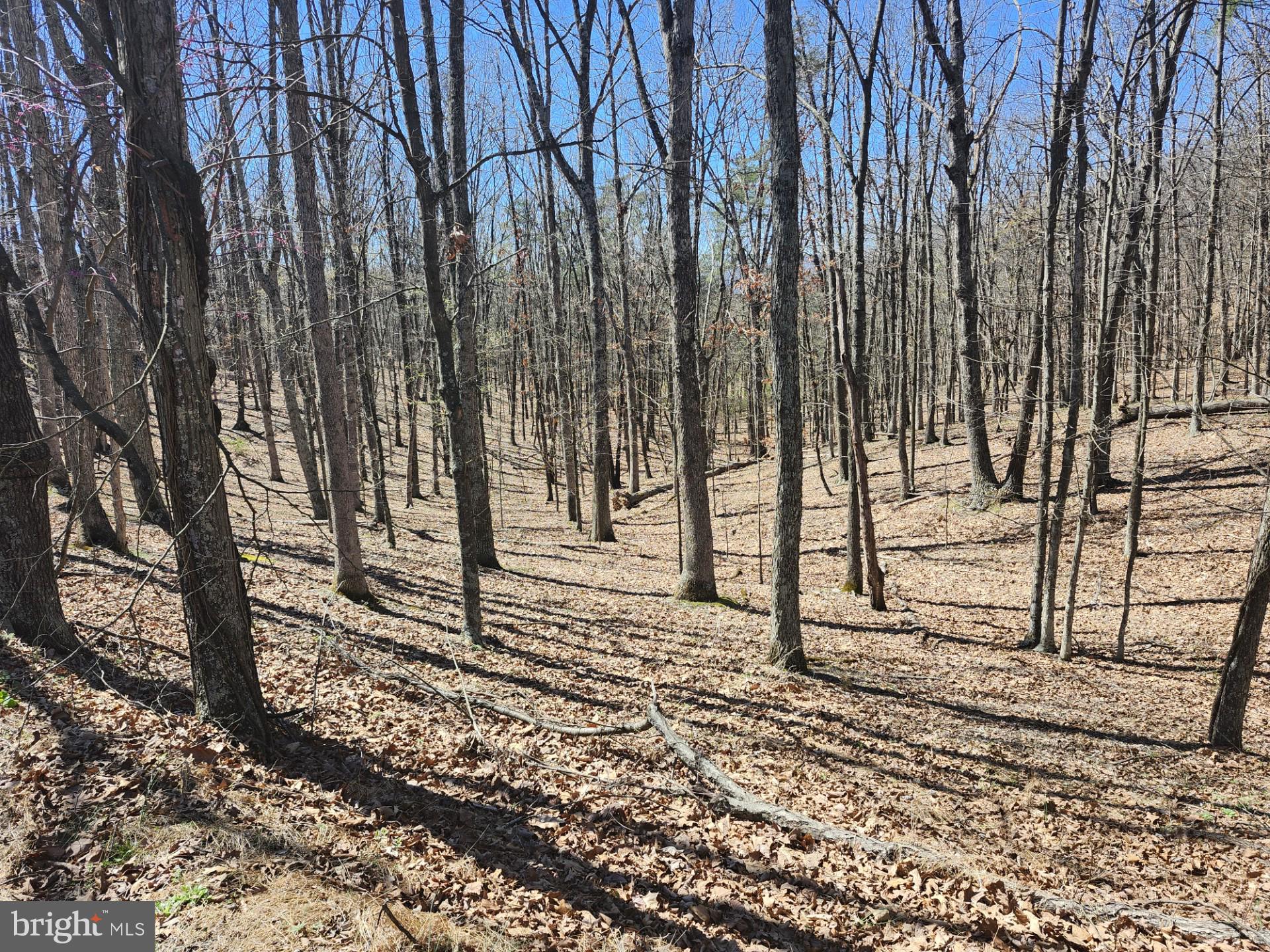 A J Kelley Road Old Fields, WV 26845 - Photo 20 of 65
