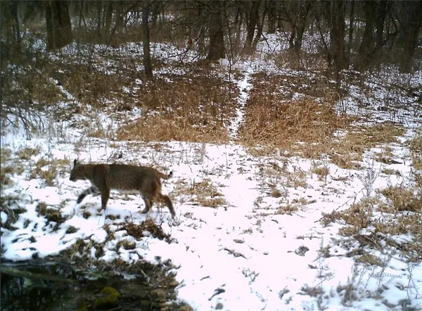 $995,000 | 10902 East 301st Street, Drexel, MO 64742