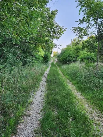 $995,000 | 10902 East 301st Street, Drexel, MO 64742