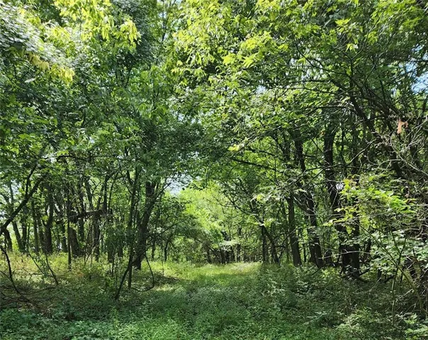 $995,000 | 10902 East 301st Street, Drexel, MO 64742