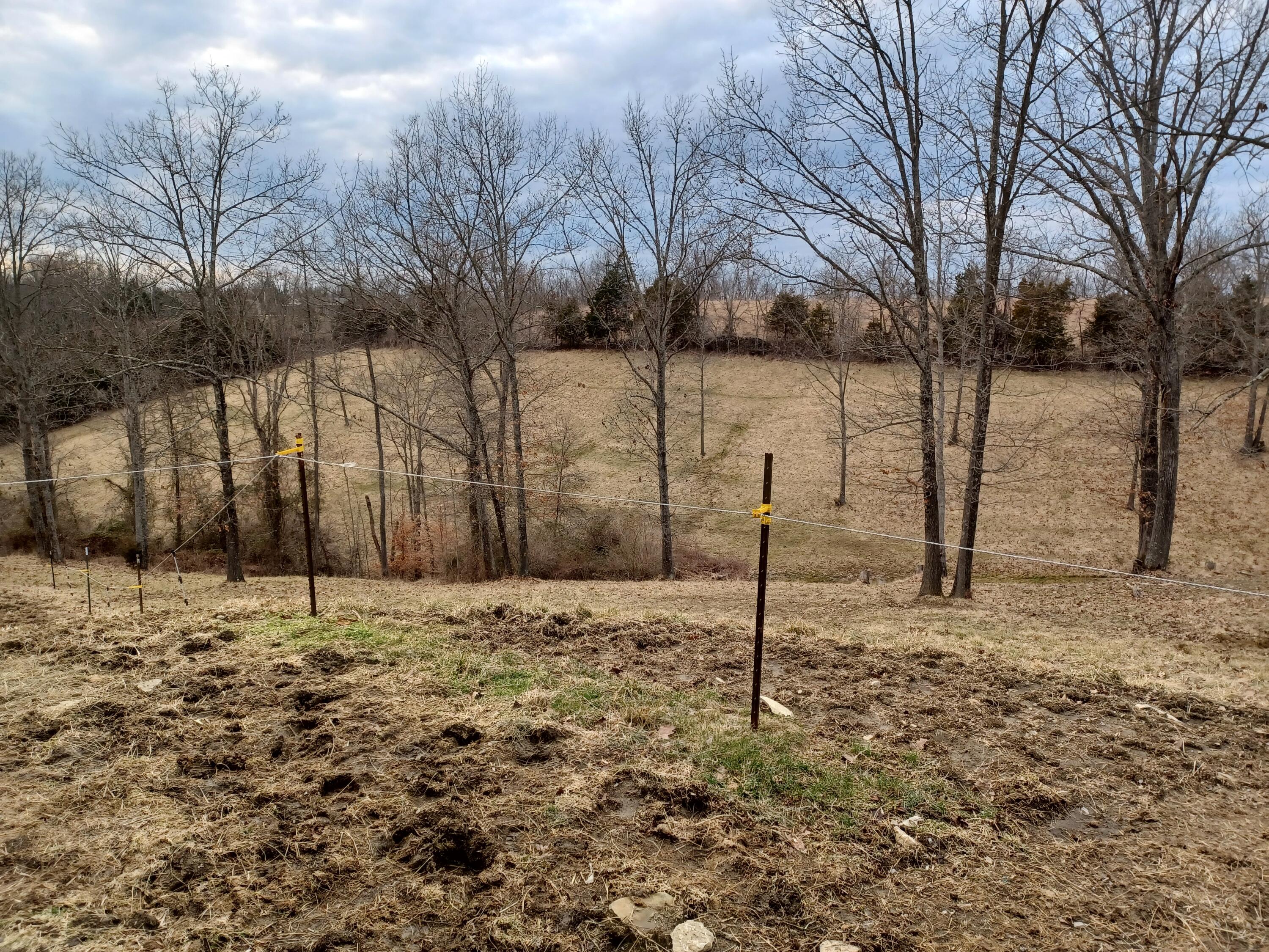 590 Leaning Oak Road Corinth, KY 41010 - Photo 32 of 35