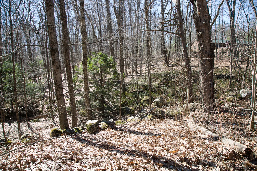 Lot 7 Queen Lake Road Templeton, MA 01468 - Photo 4 of 5 Gallery Image 4