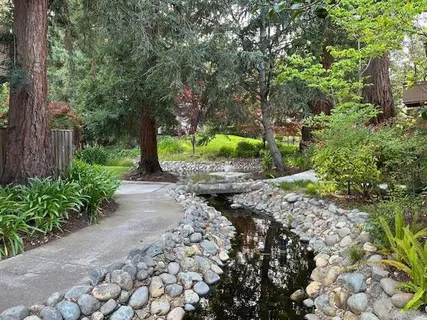 a pathway of a garden with plants and trees