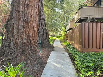a view of a pathway with a pathway