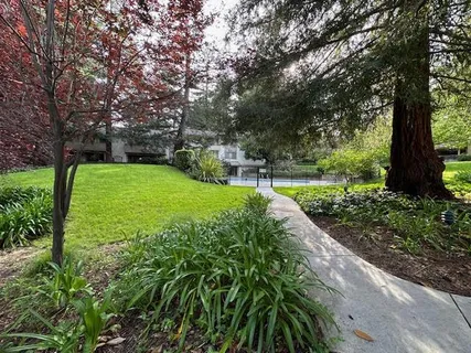 a view of a garden with trees