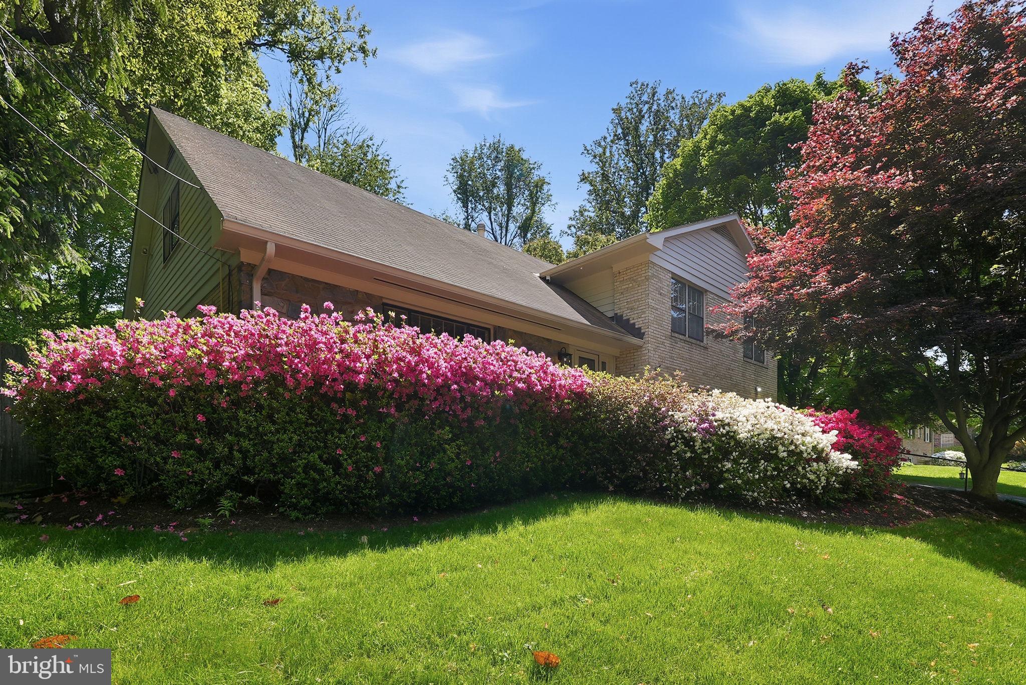 7616 Carteret Road Bethesda, MD 20817 - Photo 2 of 32 Mature Landscaping