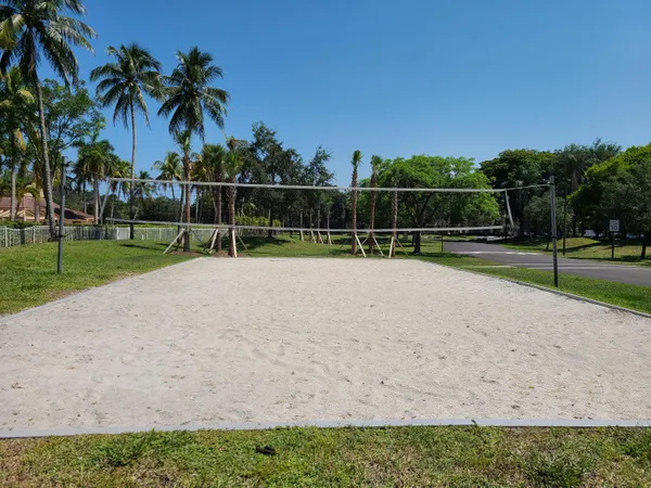 a view of park space with palm trees