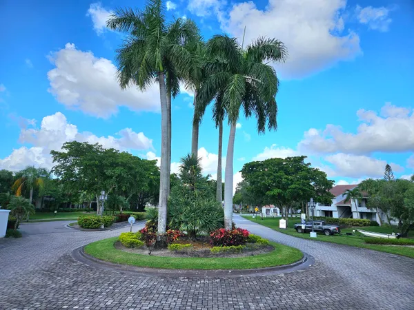 a view of a garden with palm trees