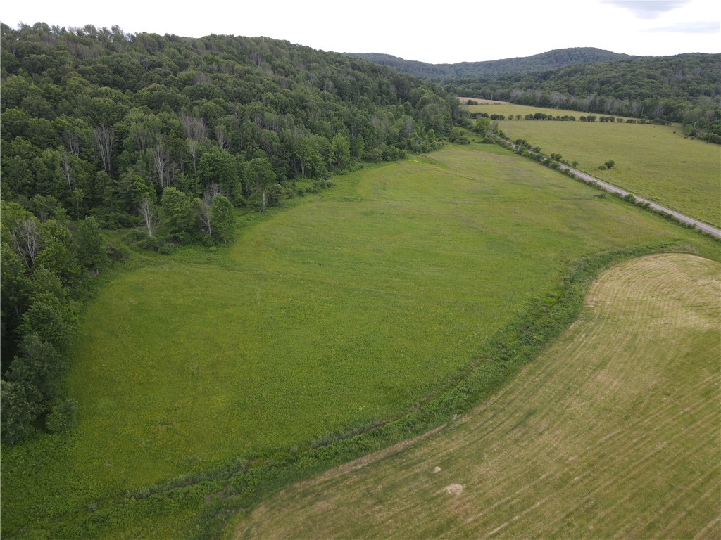 Lot 9 Summit Road Cuba, NY 14727 - Photo 3 of 22