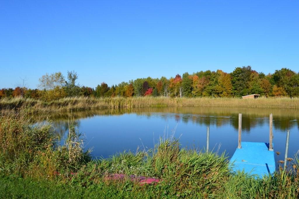 216 N Road Dixmont, ME 04932 - Photo 7 of 35 Photo