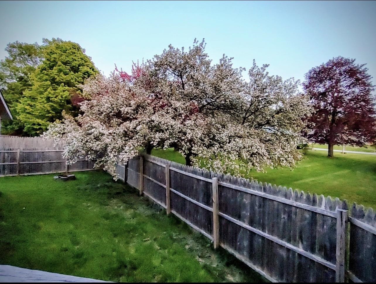 60 Circular Avenue Wallingford, VT 05773 - Photo 31 of 39