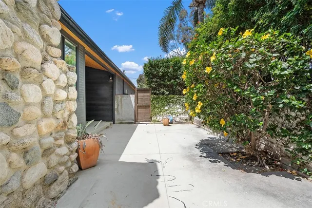a view of a backyard with large trees and plants