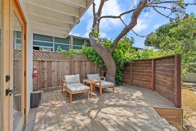 a view of a yard with plants and a large tree