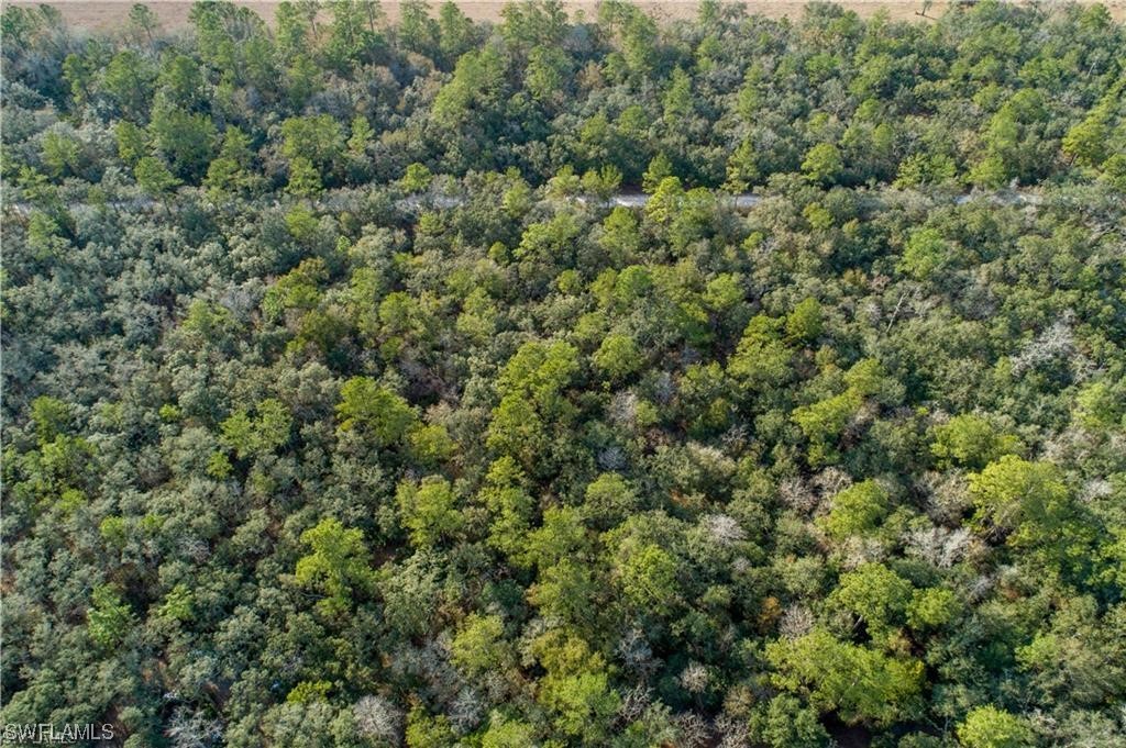 Undisclosed Address Branford, FL 32008 - Photo 2 of 7 an aerial view of residential house with outdoor space and trees all around