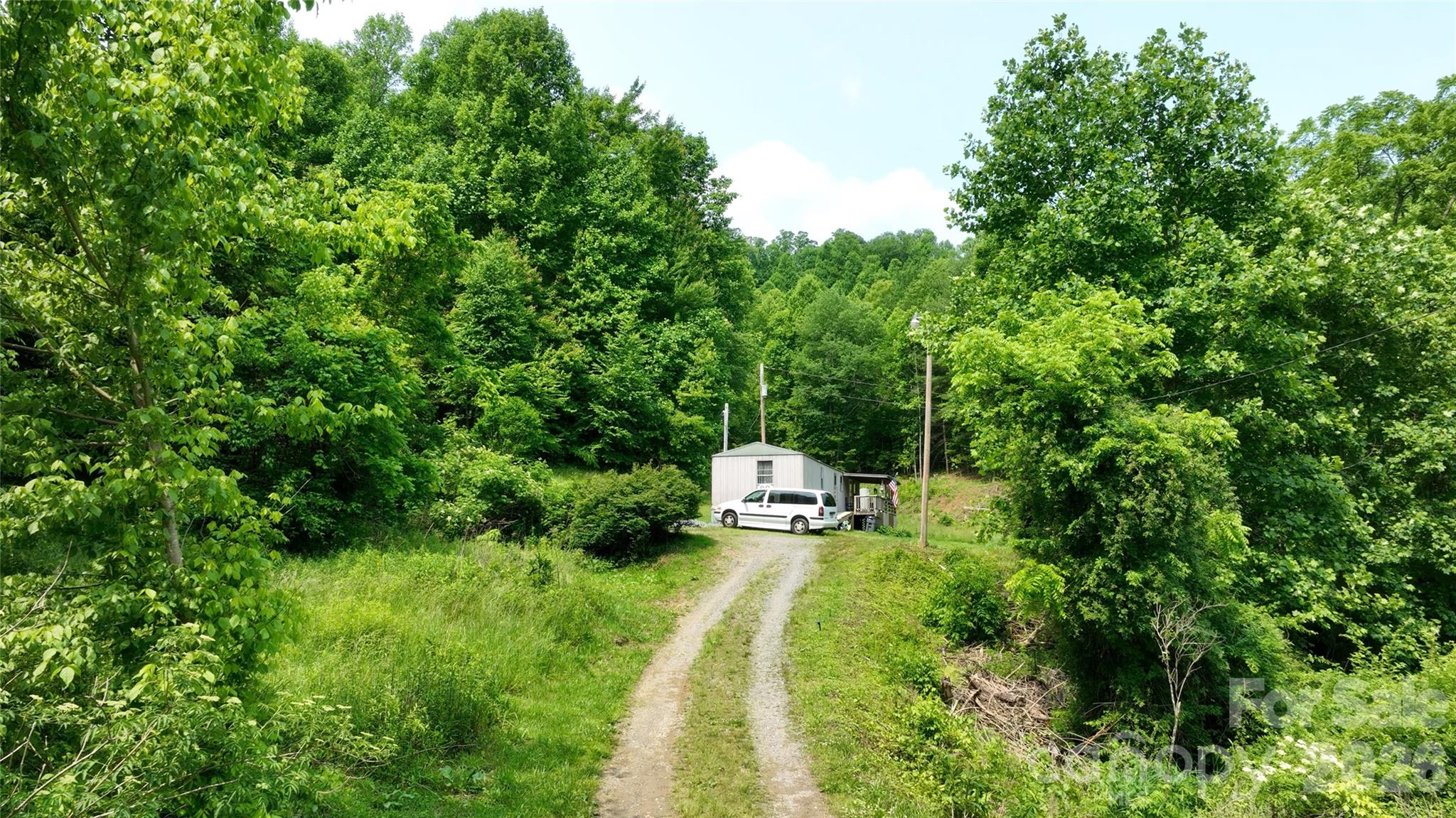 320 Board Tree Road Marshall, NC 28753 - Photo 9 of 13