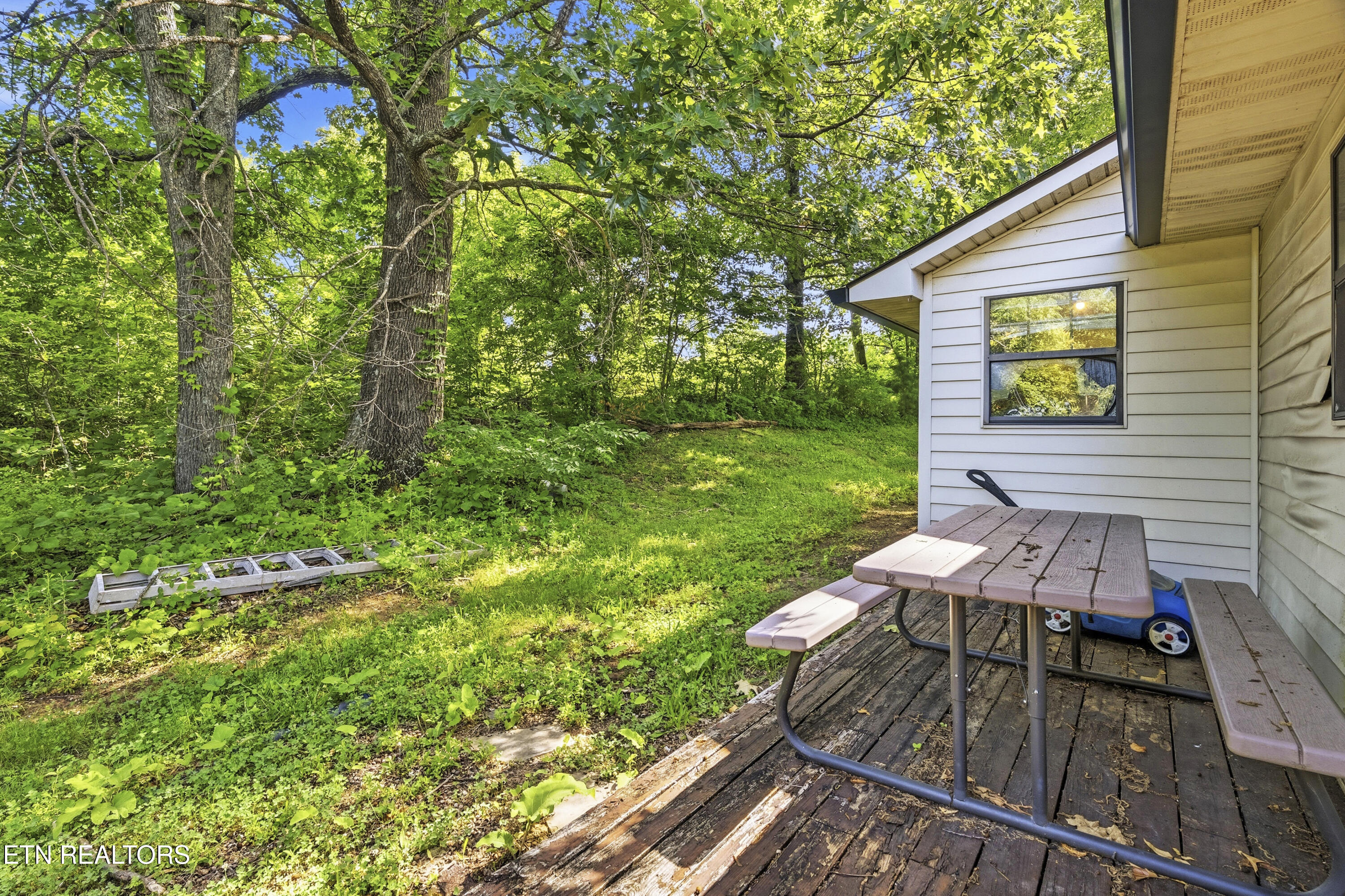 205 Booker Road Maynardville, TN 37807 - Photo 22 of 24 DSC05650