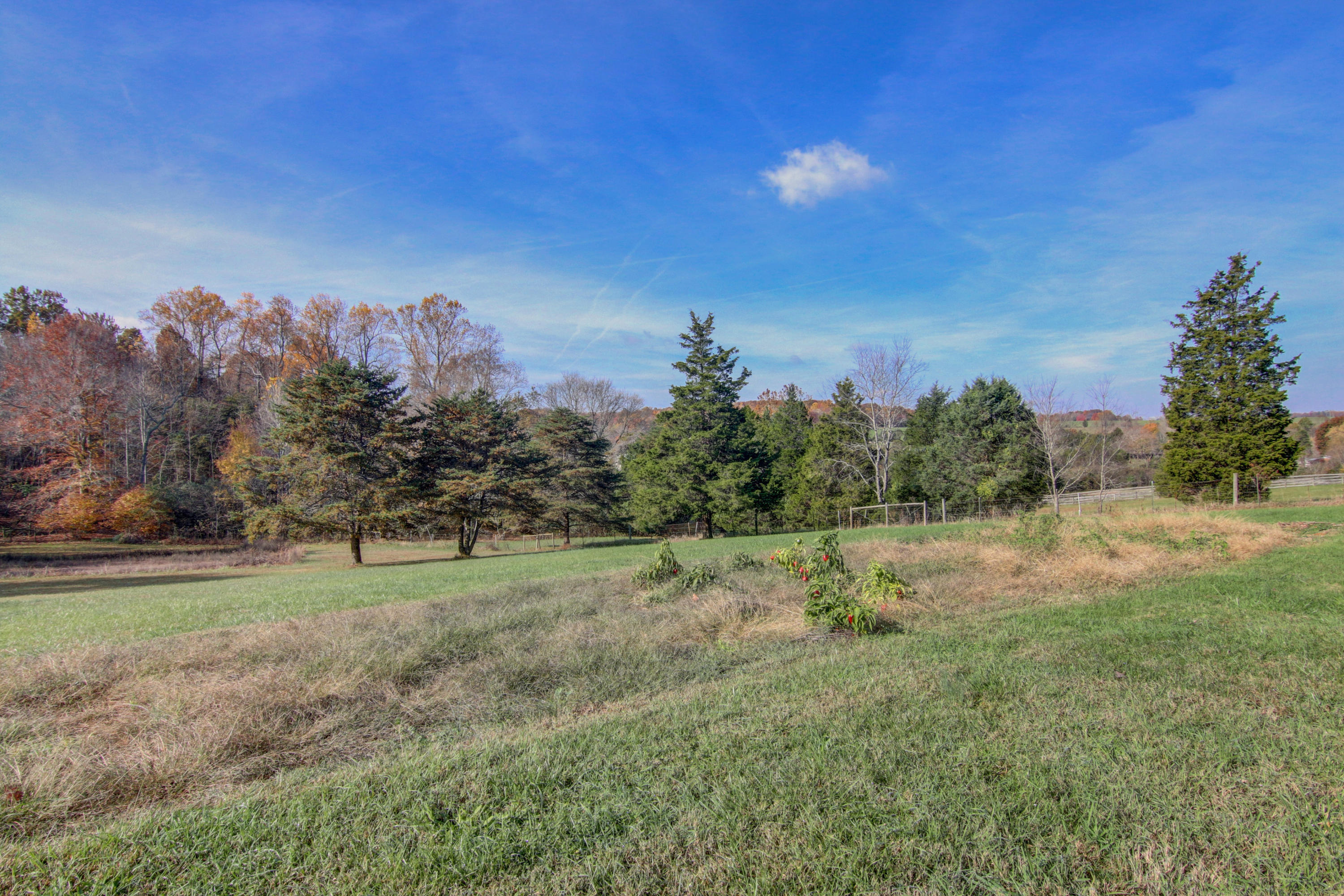 6097 White House Road Moneta, VA 24121 - Photo 3 of 35 orig_6097 White House Road-8_5791233