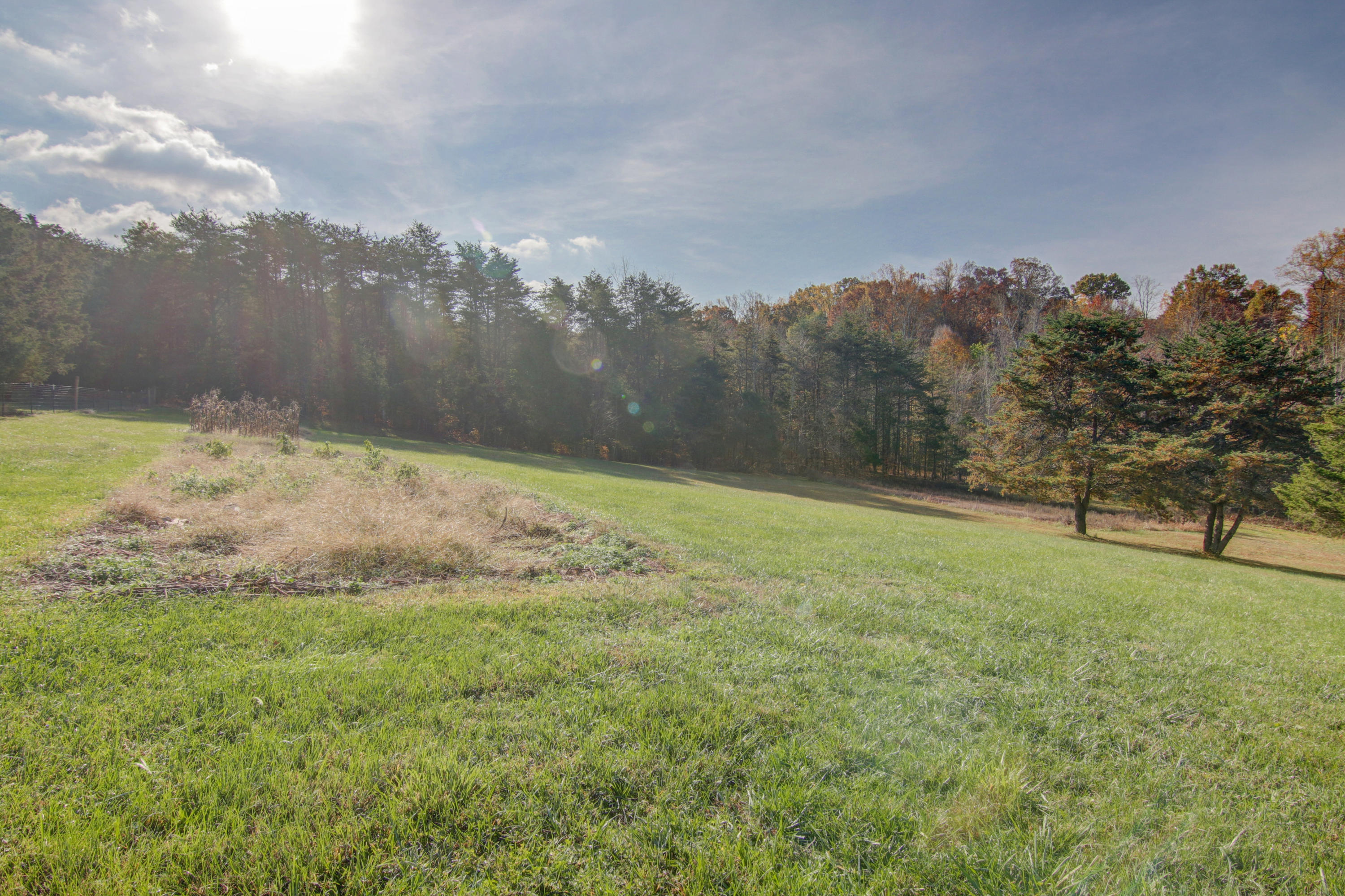 6097 White House Road Moneta, VA 24121 - Photo 31 of 35 orig_6097 White House Road-10_5791235