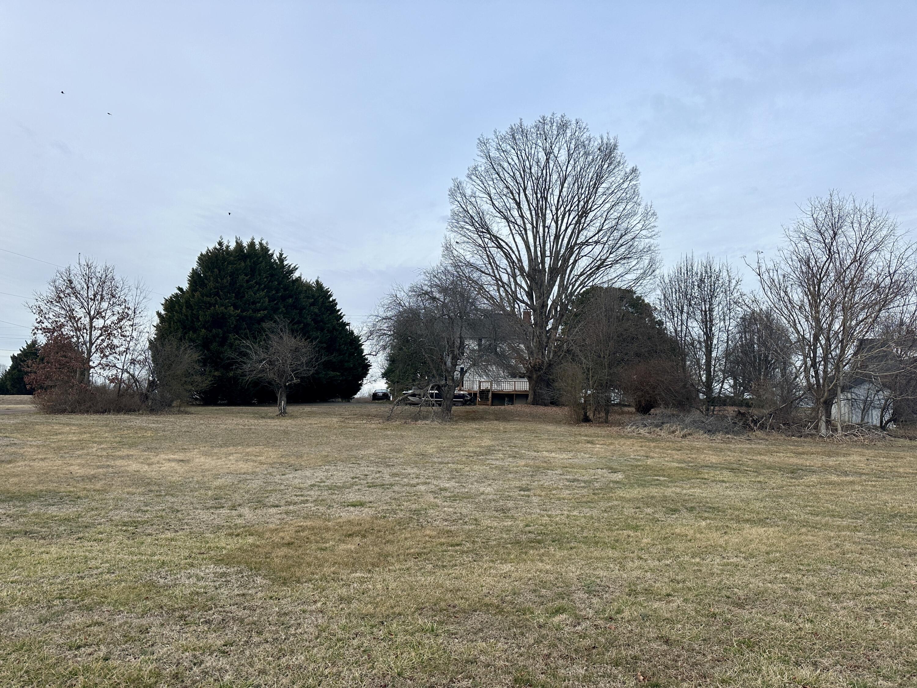 60 Soapstone Road Ridgeway, VA 24148 - Photo 19 of 26 a street view with large trees