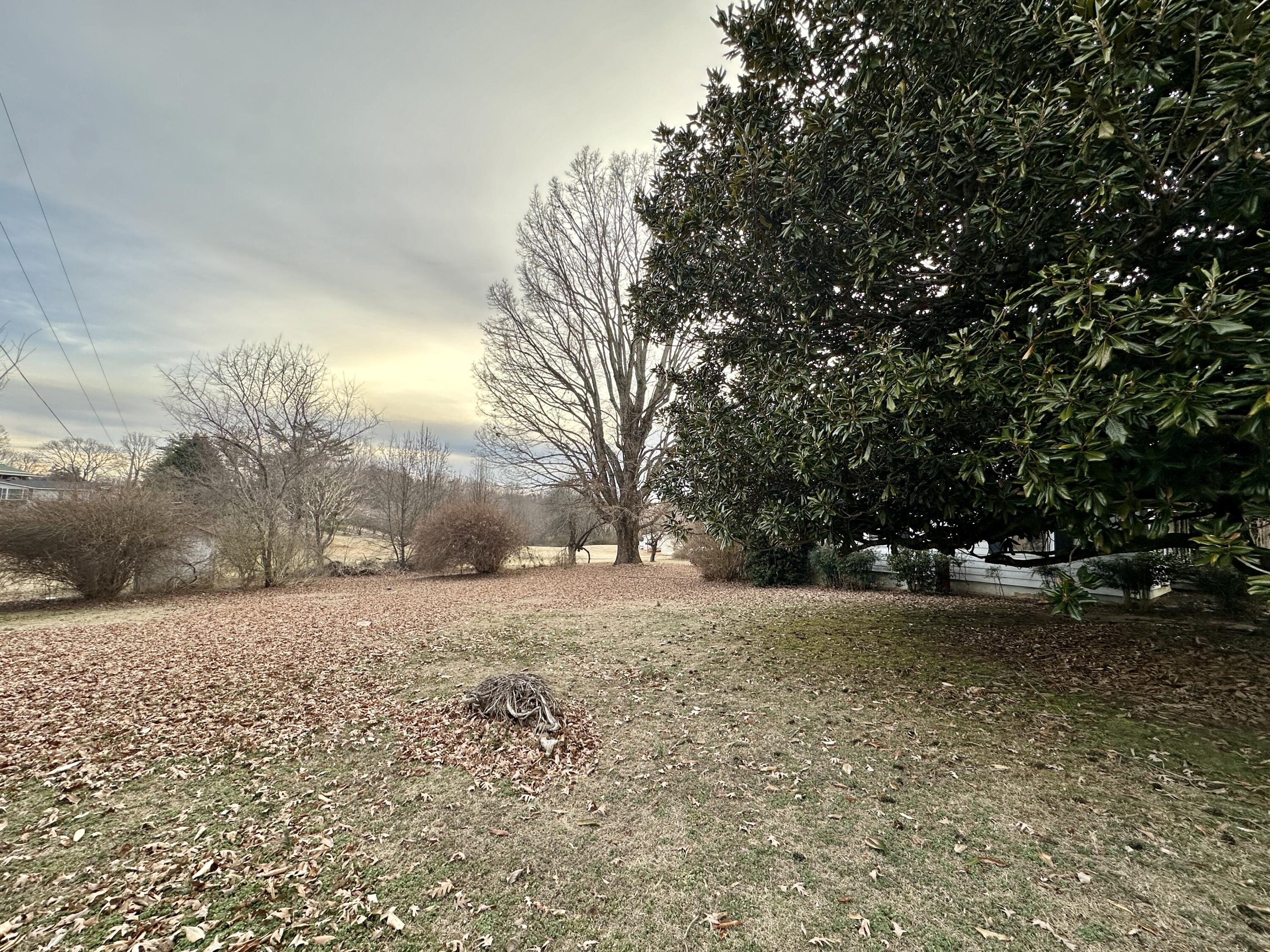 60 Soapstone Road Ridgeway, VA 24148 - Photo 20 of 26 a view of road and trees