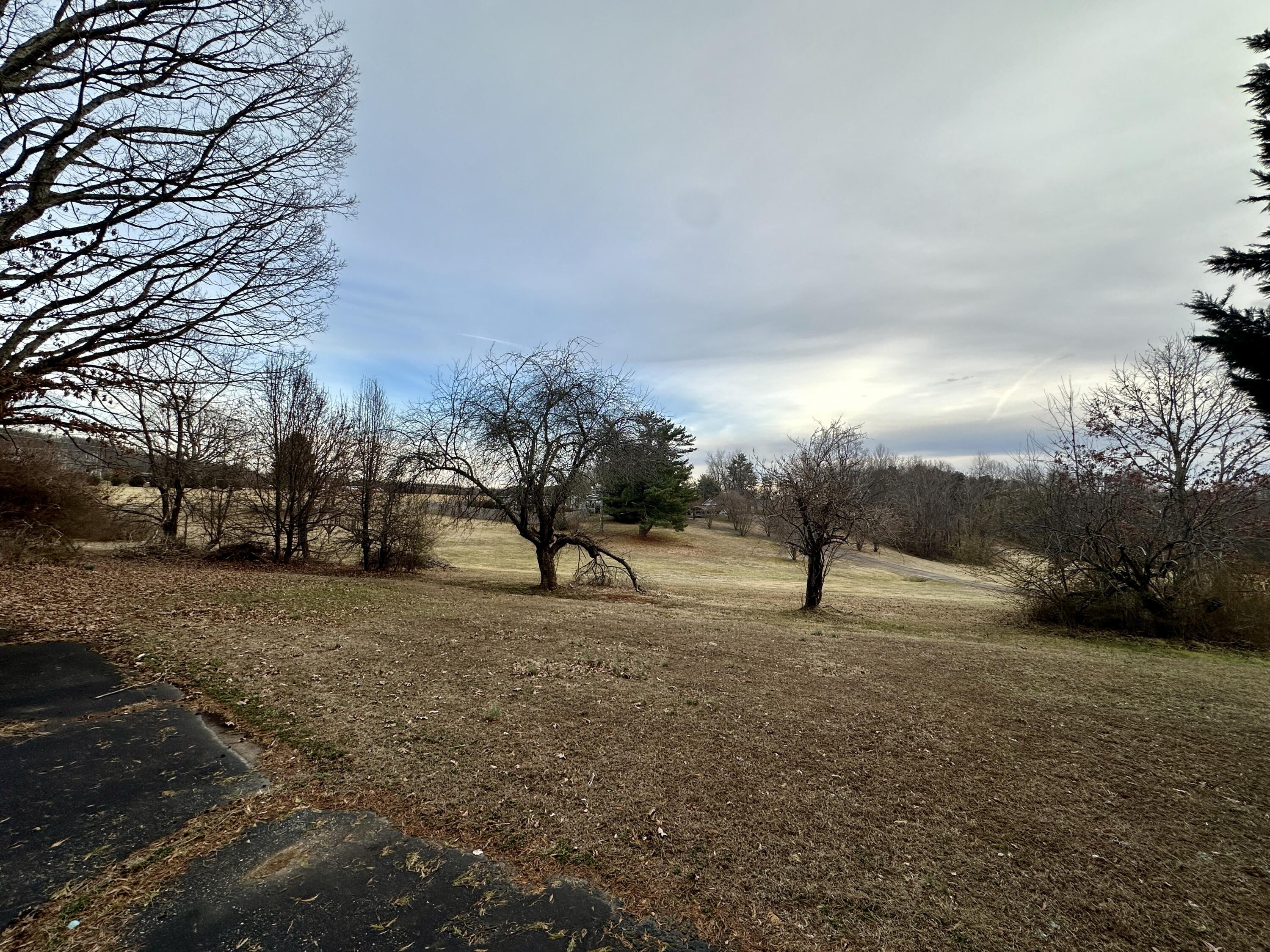60 Soapstone Road Ridgeway, VA 24148 - Photo 22 of 26 a view of outdoor space with trees