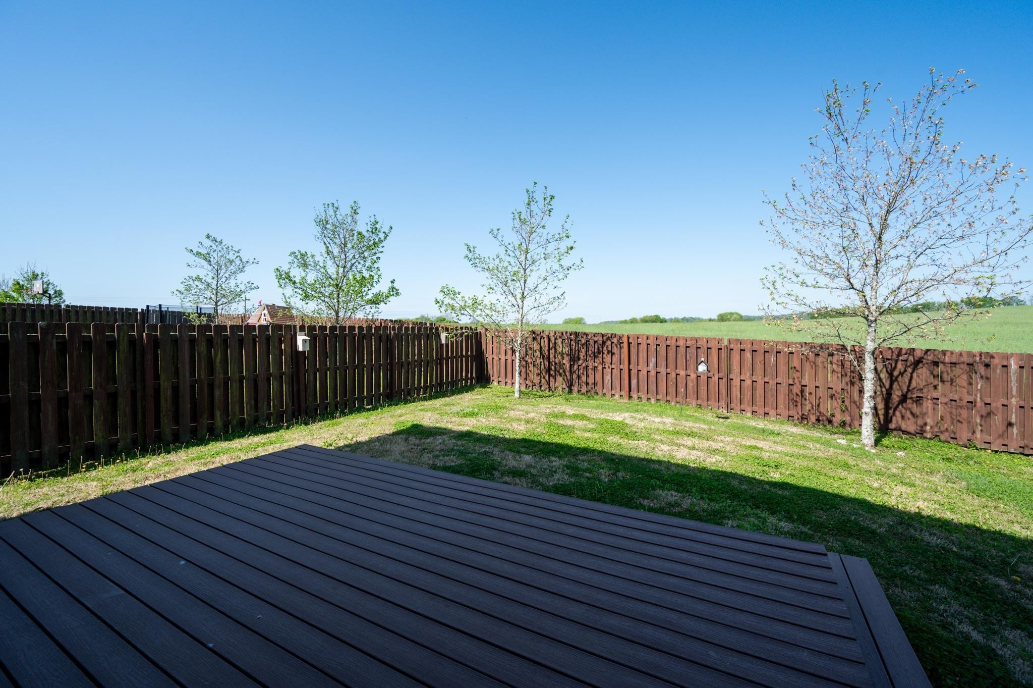 5003 Hemlock Court Spring Hill, TN 37174 - Photo 26 of 32 a view of a backyard with wooden fence