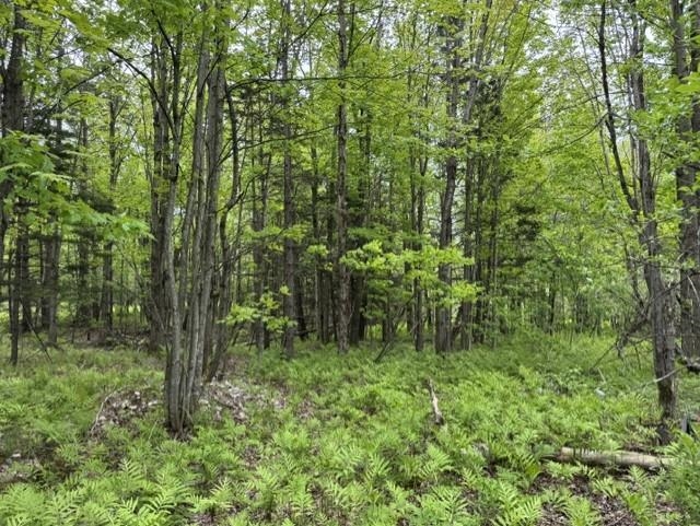 200 Coits Gore Road Bakersfield, VT 05450 - Photo 2 of 4