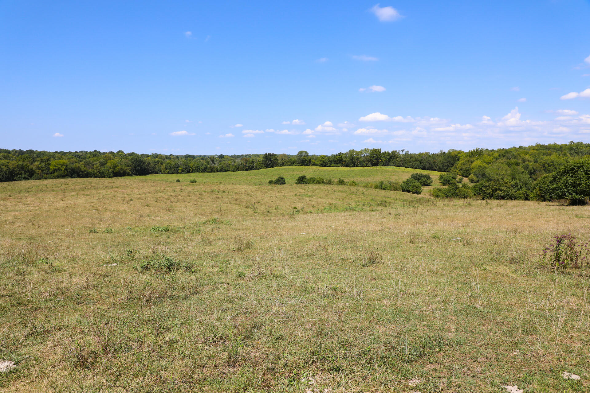 1270 Lower Salt River Road Danville, KY 40422 - Photo 7 of 25 1270 Lower Salt River Rd 5D MArk iv (4)