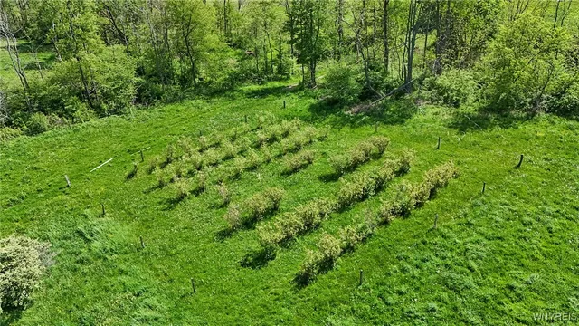 $275,000 | 11577 Armison Road, Hume, NY 14735