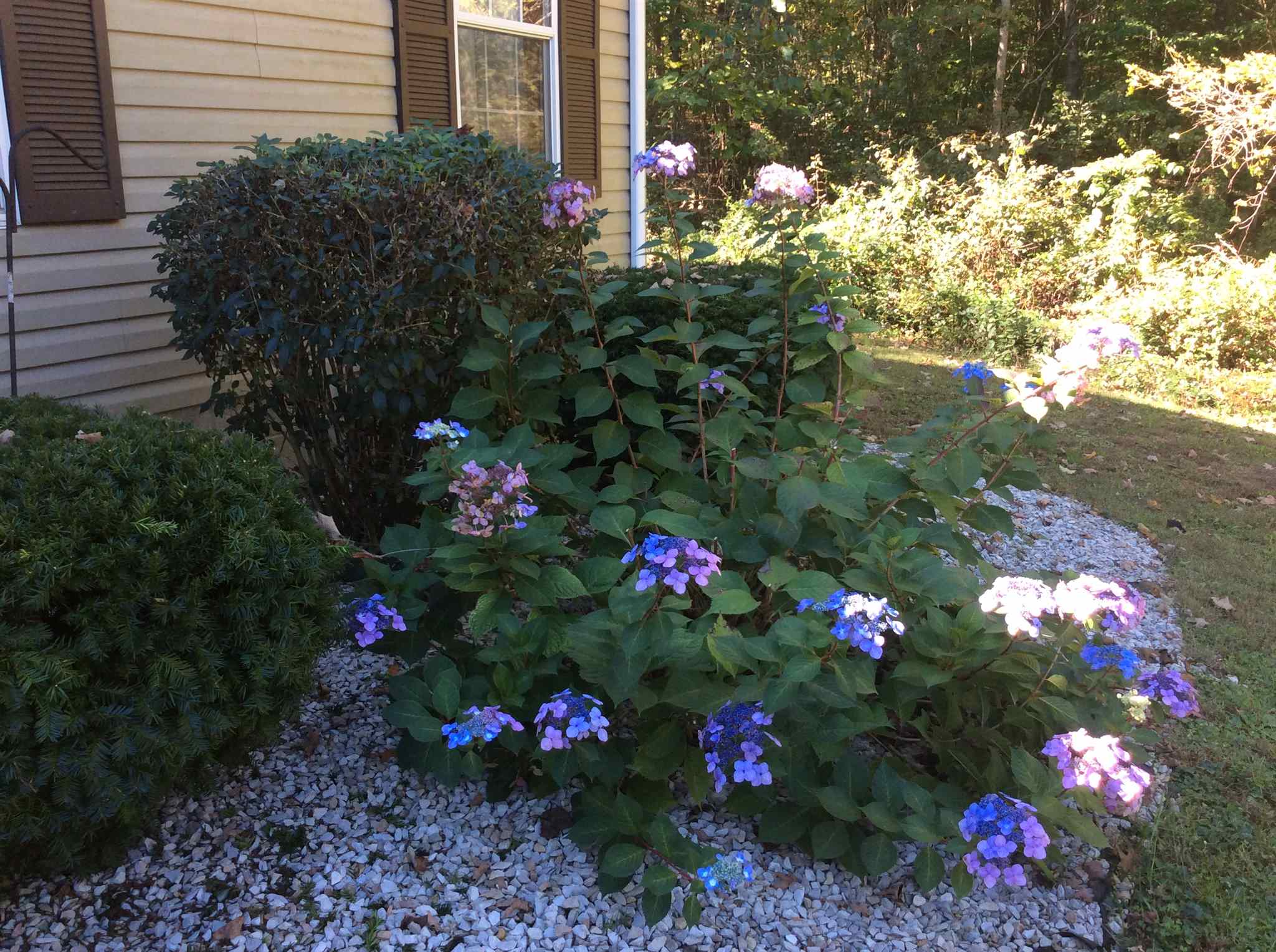 8141 North Cuzco Road South French Lick, IN 47432 - Photo 23 of 23