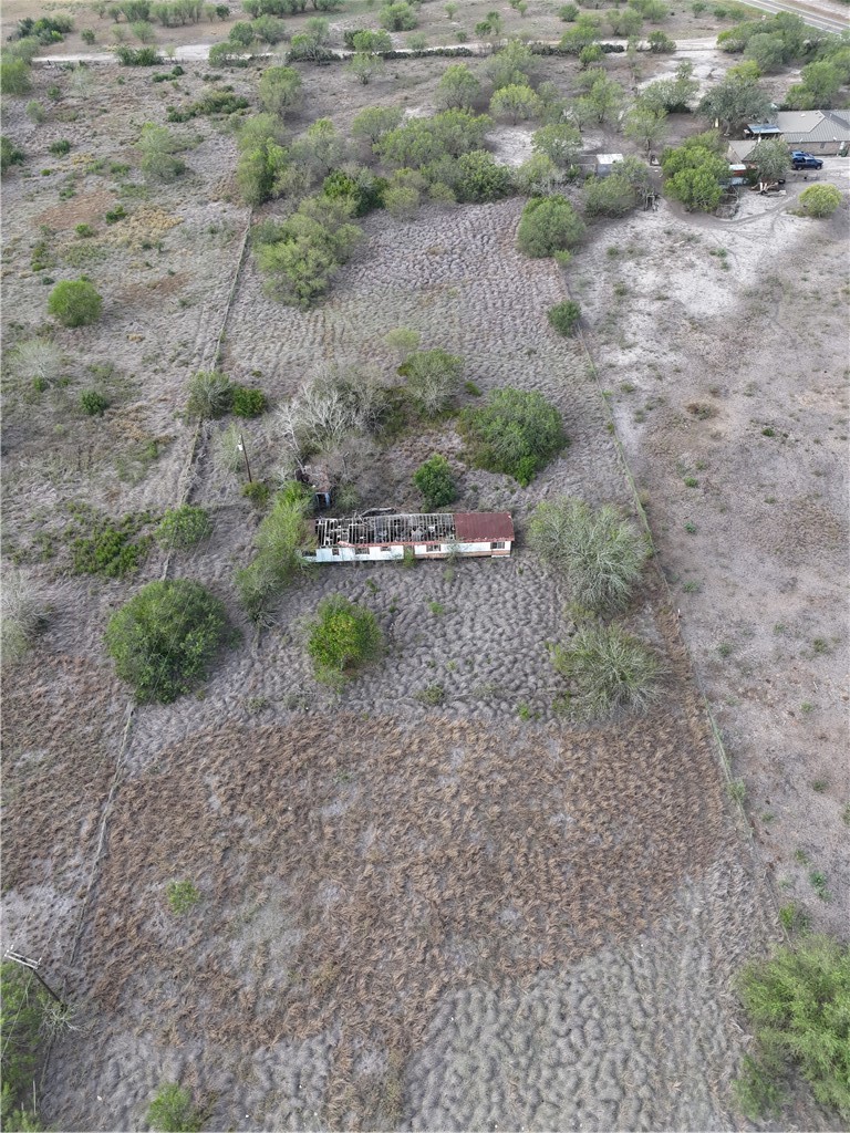a view of a dry yard with green space