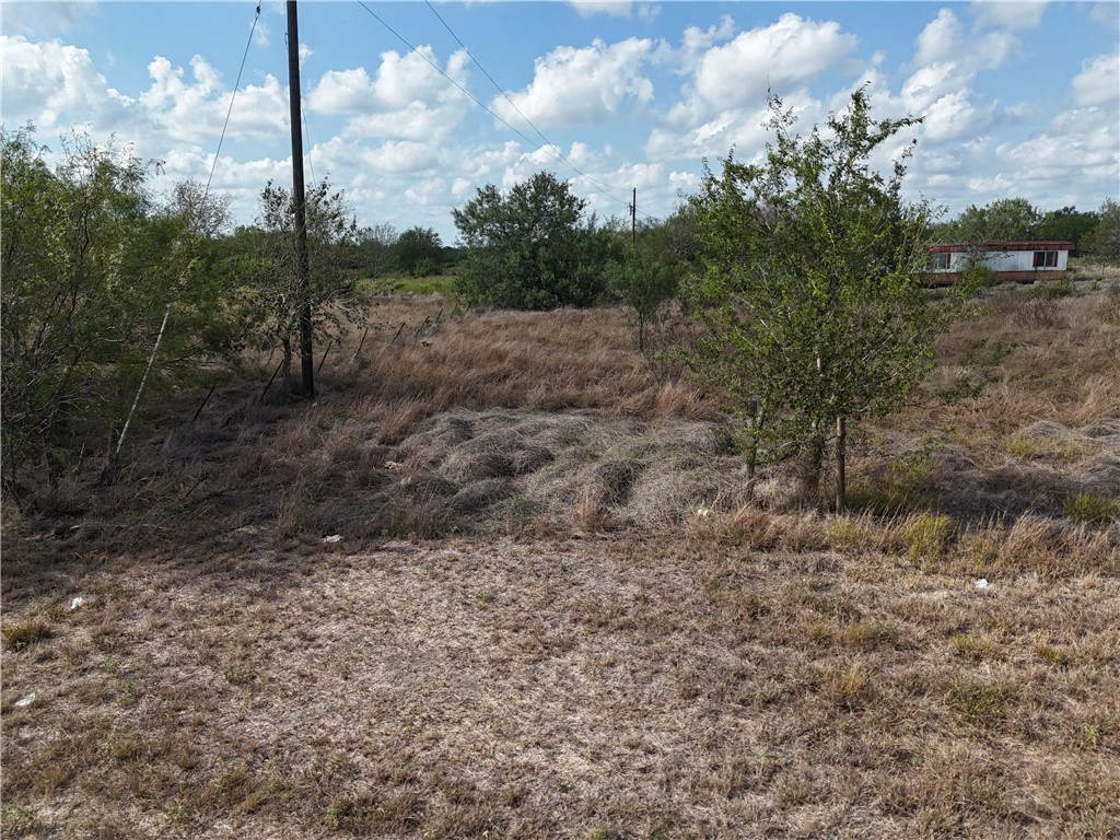0 Fm Road Robstown, TX 78380 - Photo 20 of 20 a view of a yard with trees