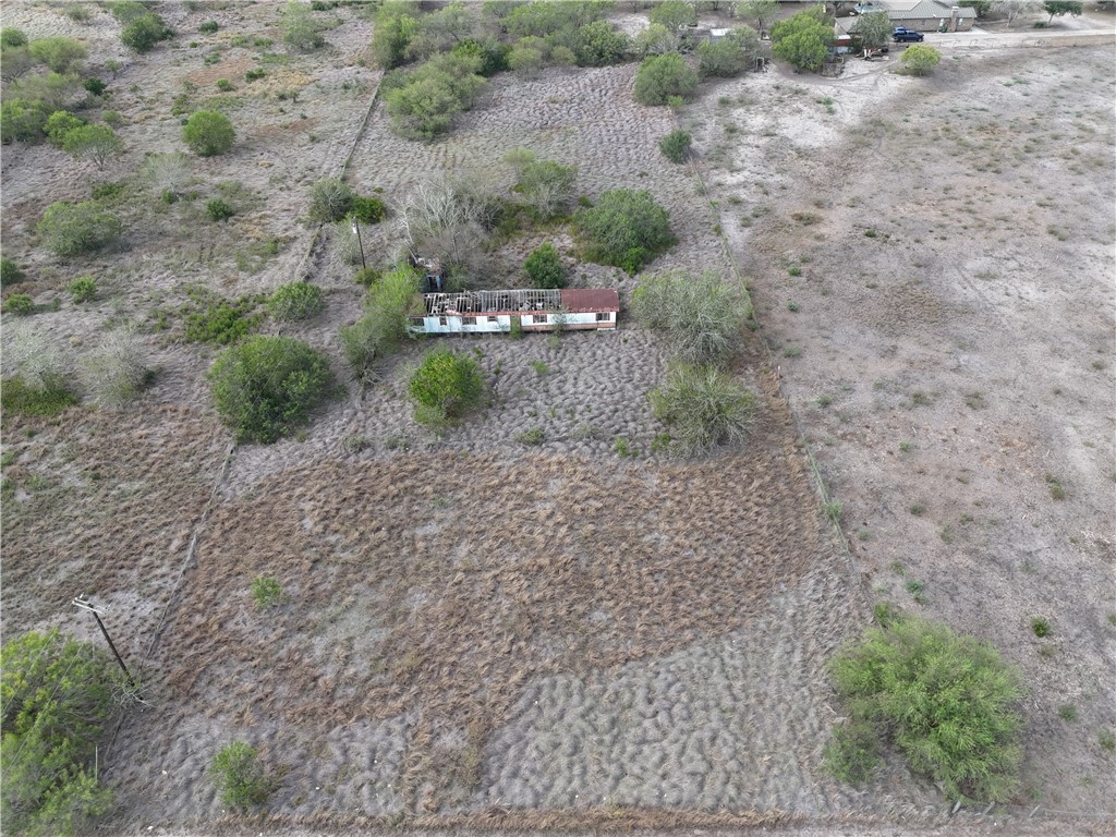 0 Fm Road Robstown, TX 78380 - Photo 7 of 20 a view of a dry yard with lots of trees