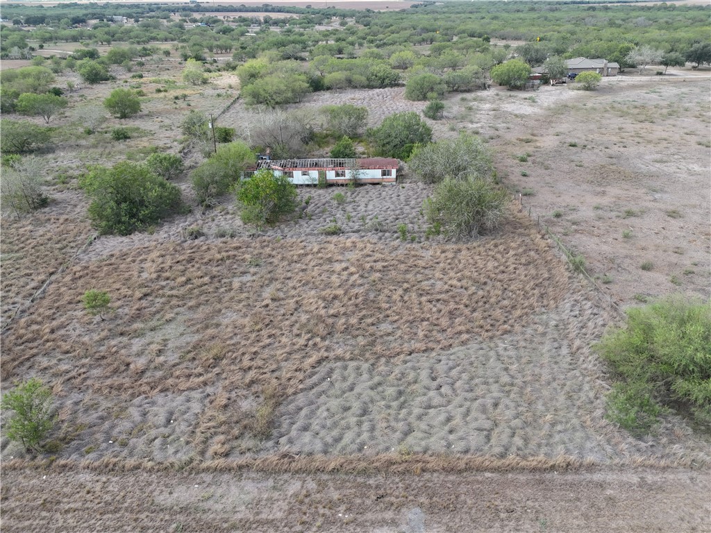 0 Fm Road Robstown, TX 78380 - Photo 8 of 20 a view of a dry yard with trees