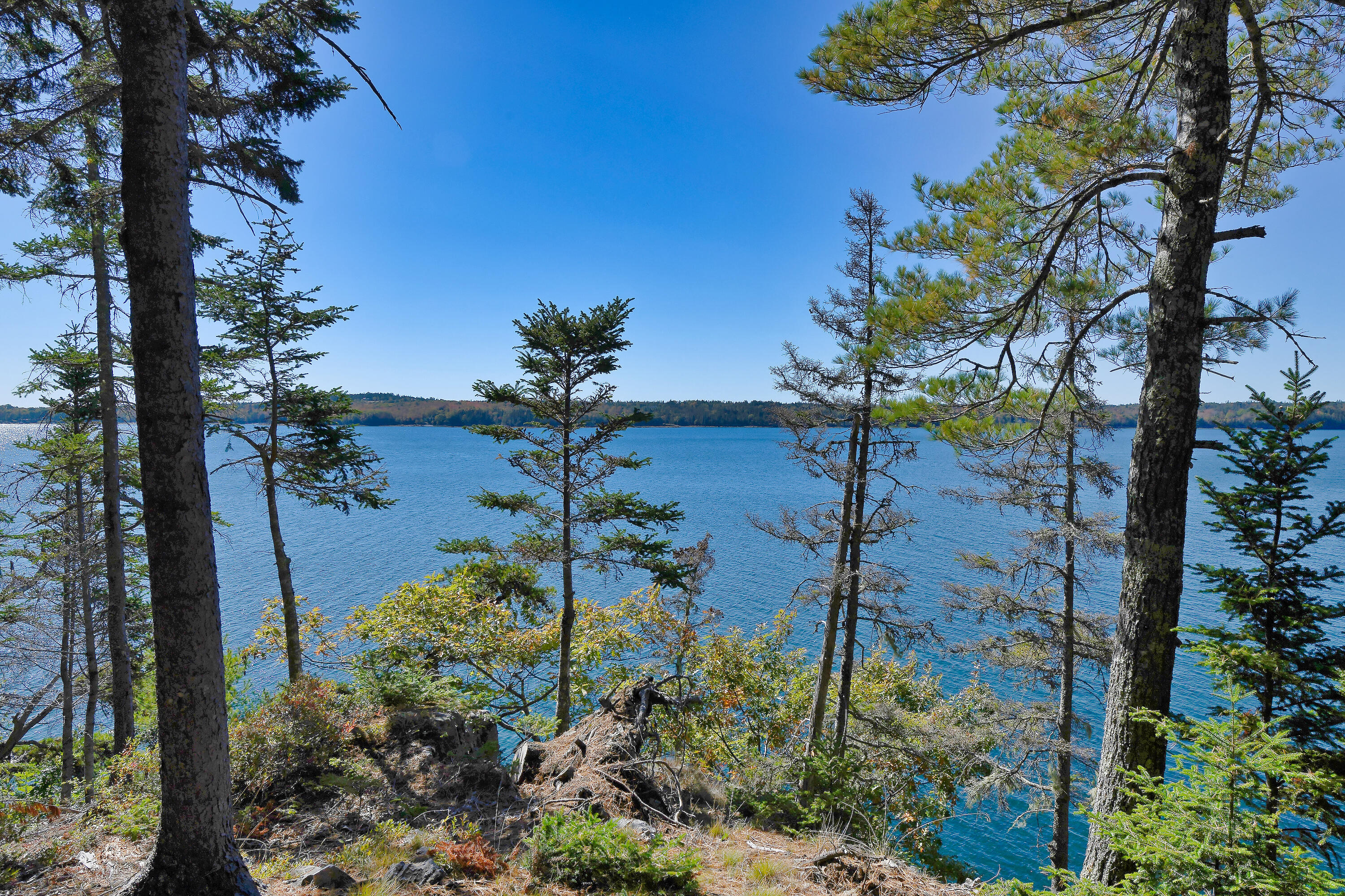 Lot 6 Sunset Road Brooksville, ME 04617 - Photo 4 of 35