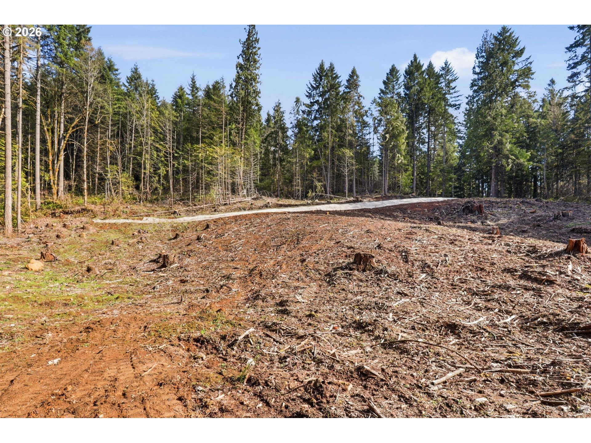 0 Northwest Green Mountain Road Banks, OR 97106 - Photo 18 of 36