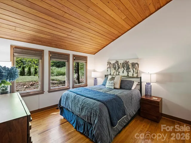 a view of a garden with plants