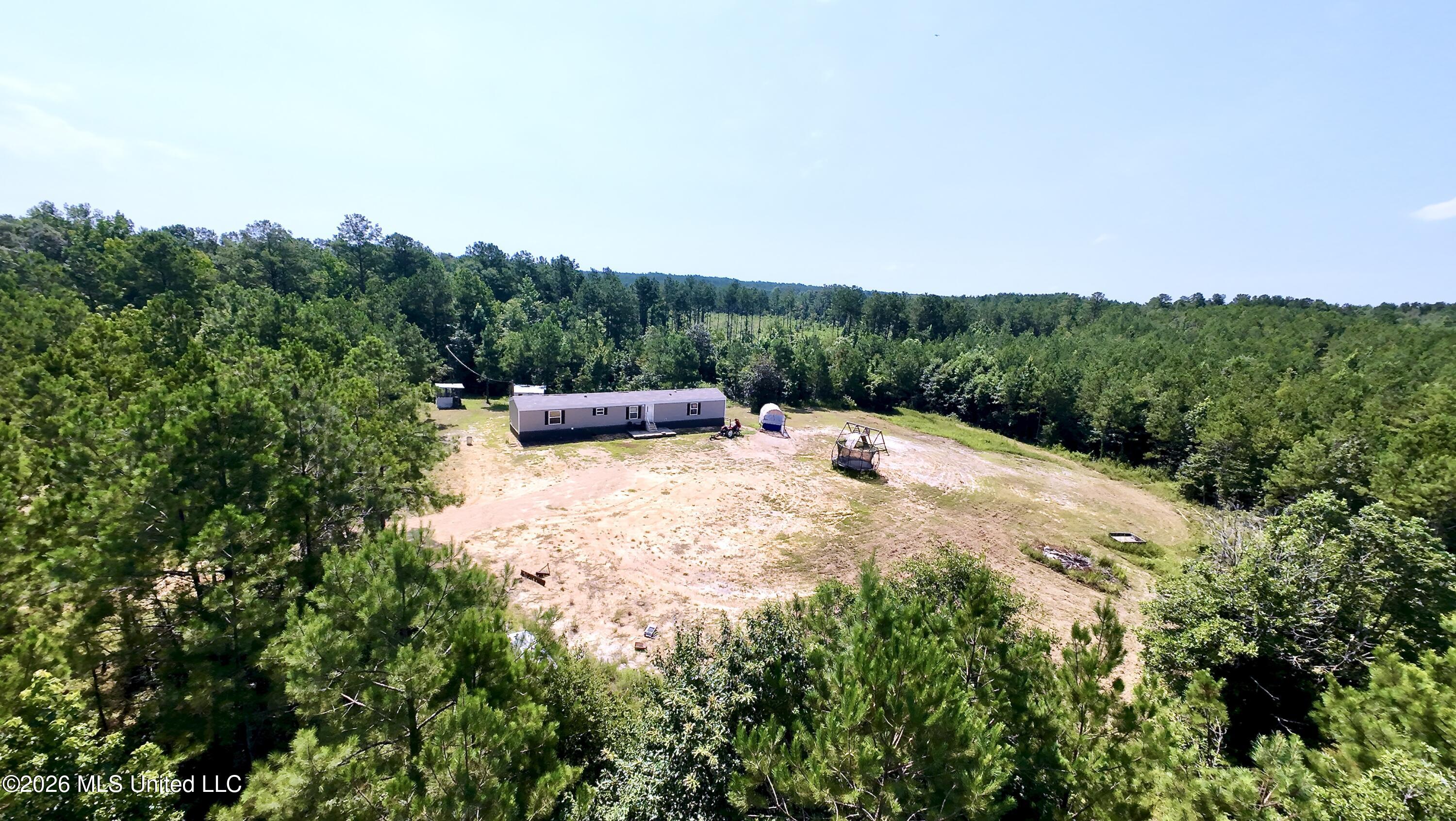 115 Tom Calhoun Road Mendenhall, MS 39114 - Photo 4 of 29 DJI_20260703105740_0291_D