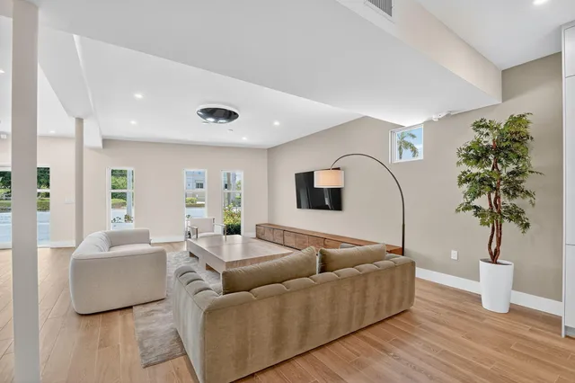 a living room with furniture and a potted plant